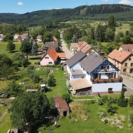 Hotel Le Nid De Cigognes Hengwiller Esterno foto
