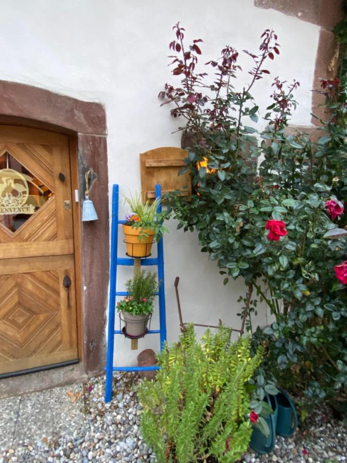 Hotel Le Nid De Cigognes Hengwiller Esterno foto