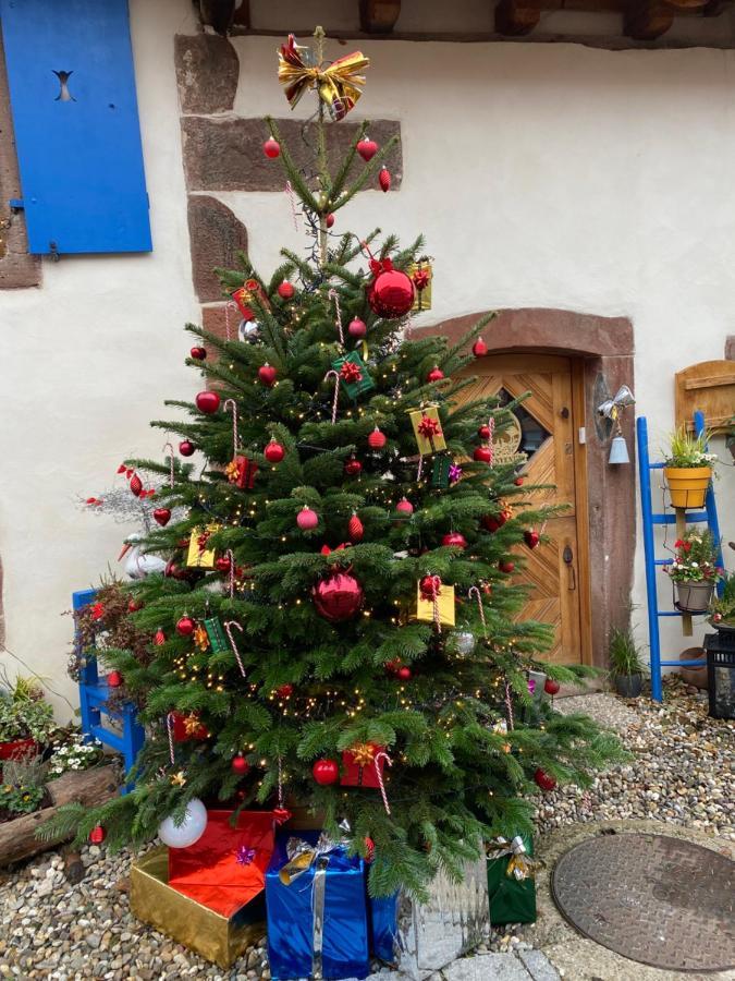 Hotel Le Nid De Cigognes Hengwiller Esterno foto