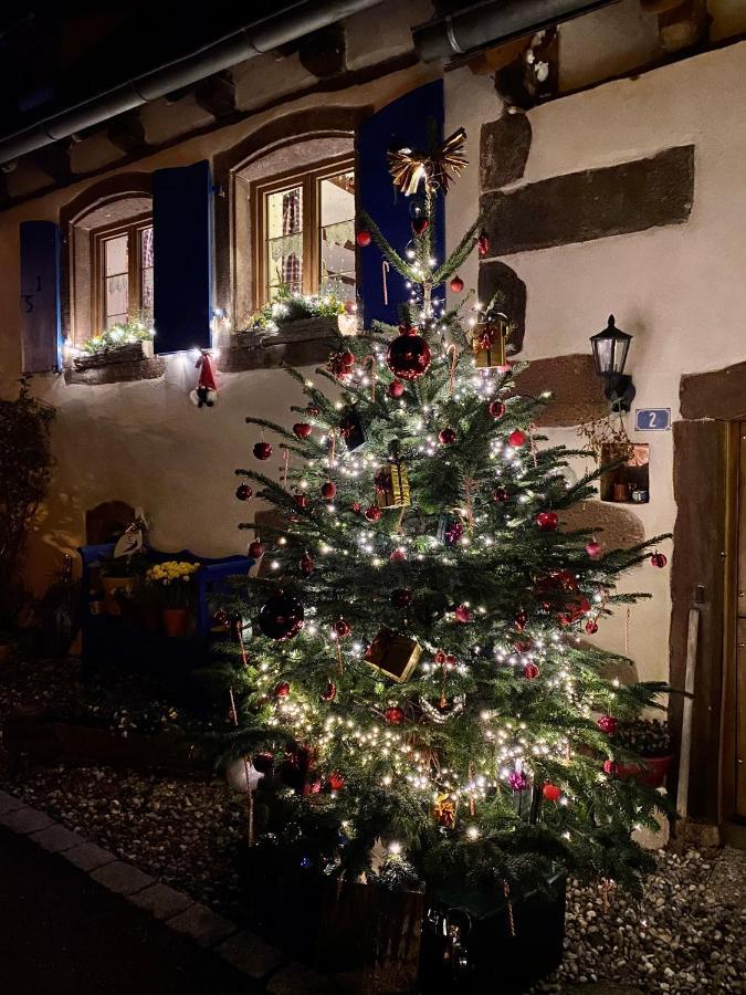 Hotel Le Nid De Cigognes Hengwiller Esterno foto