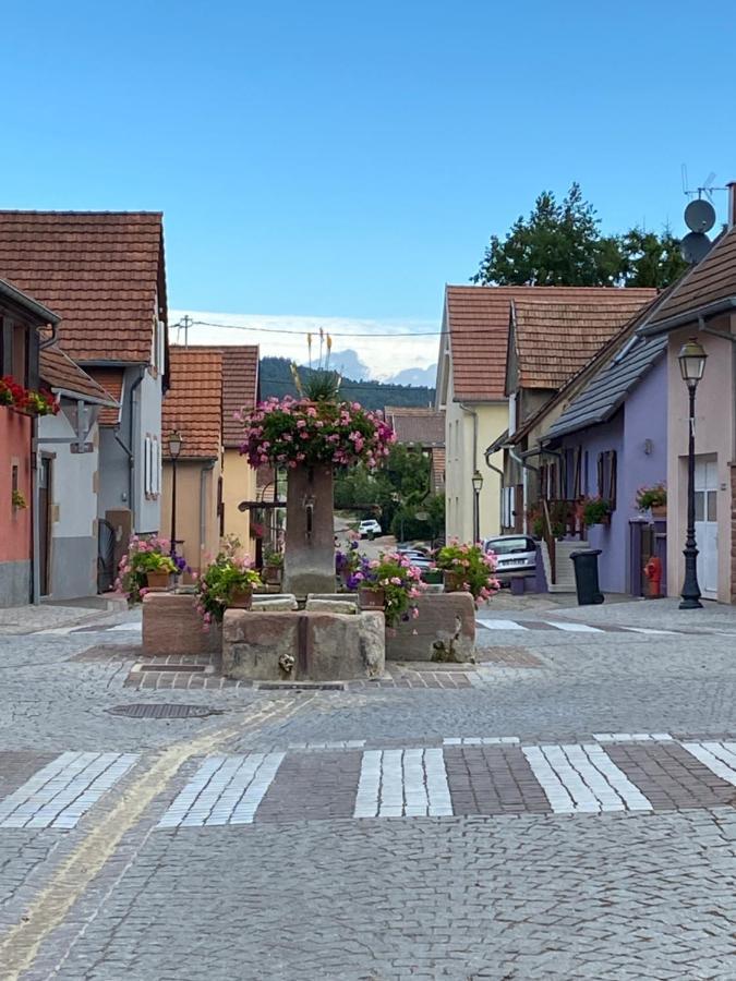 Hotel Le Nid De Cigognes Hengwiller Esterno foto