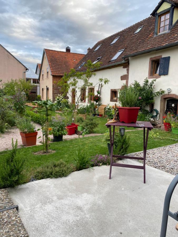 Hotel Le Nid De Cigognes Hengwiller Esterno foto