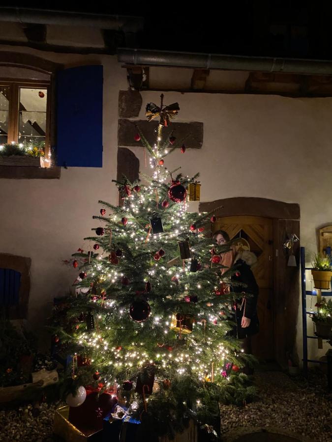 Hotel Le Nid De Cigognes Hengwiller Esterno foto