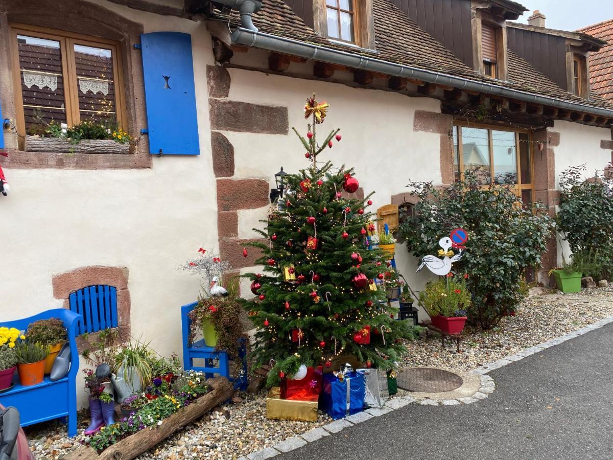 Hotel Le Nid De Cigognes Hengwiller Esterno foto