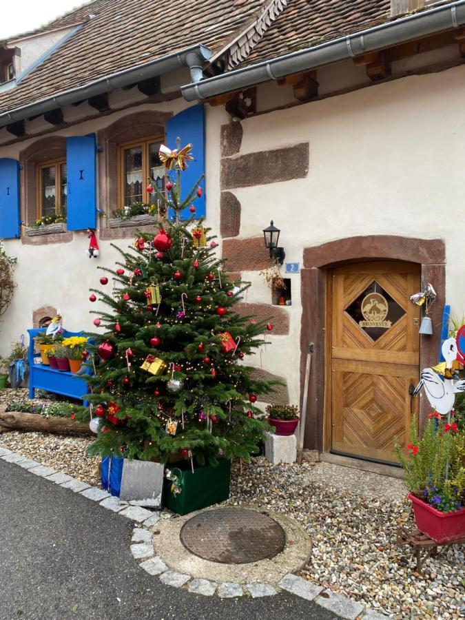 Hotel Le Nid De Cigognes Hengwiller Esterno foto
