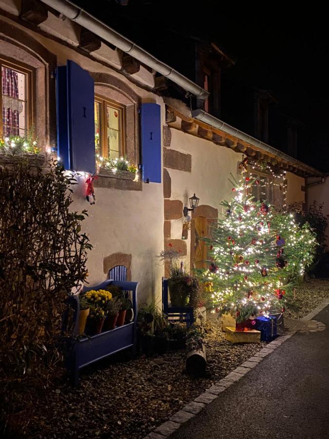 Hotel Le Nid De Cigognes Hengwiller Esterno foto