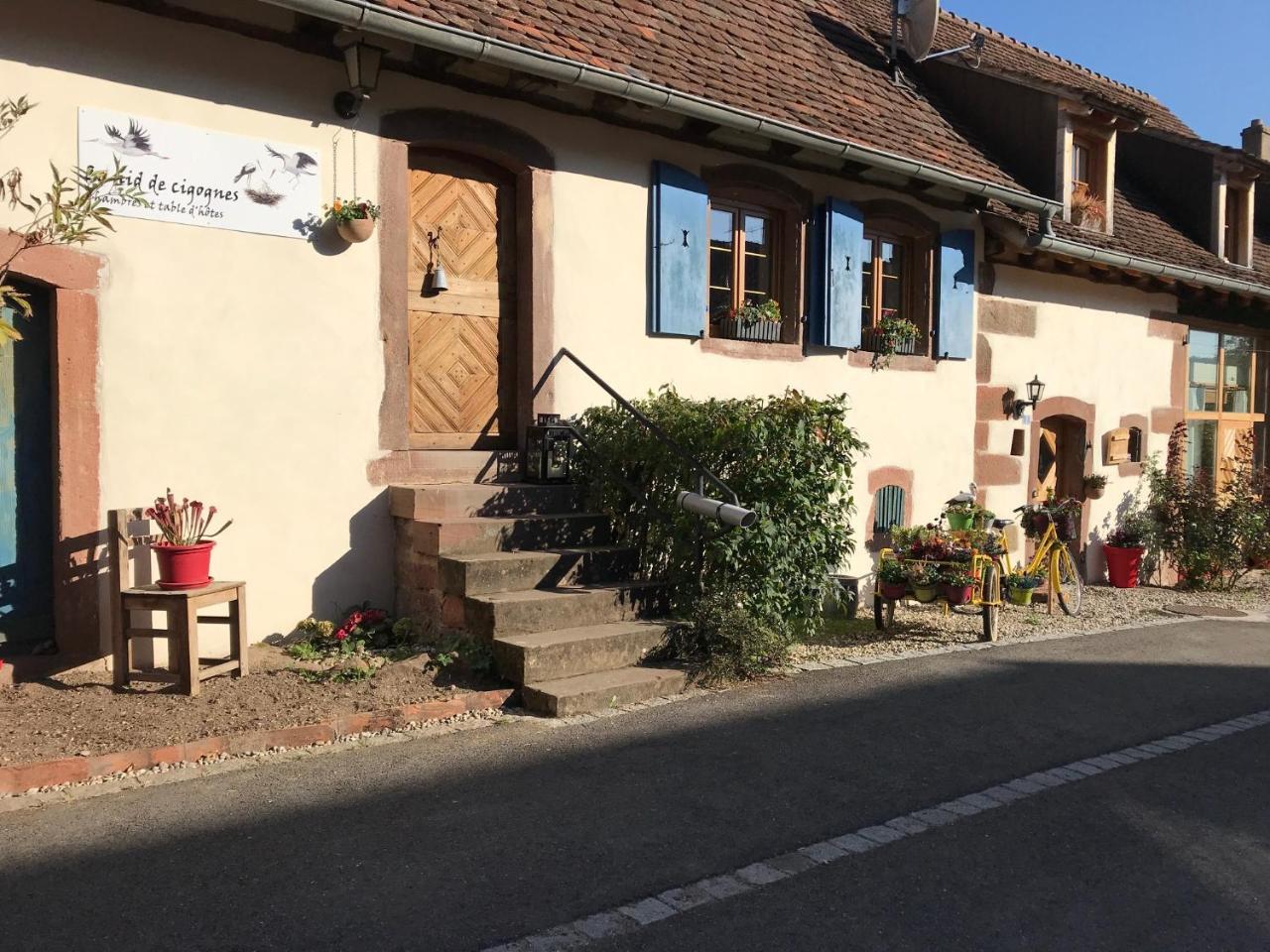 Hotel Le Nid De Cigognes Hengwiller Esterno foto