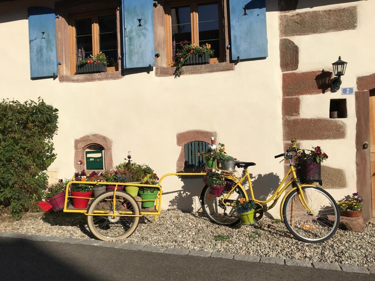 Hotel Le Nid De Cigognes Hengwiller Esterno foto