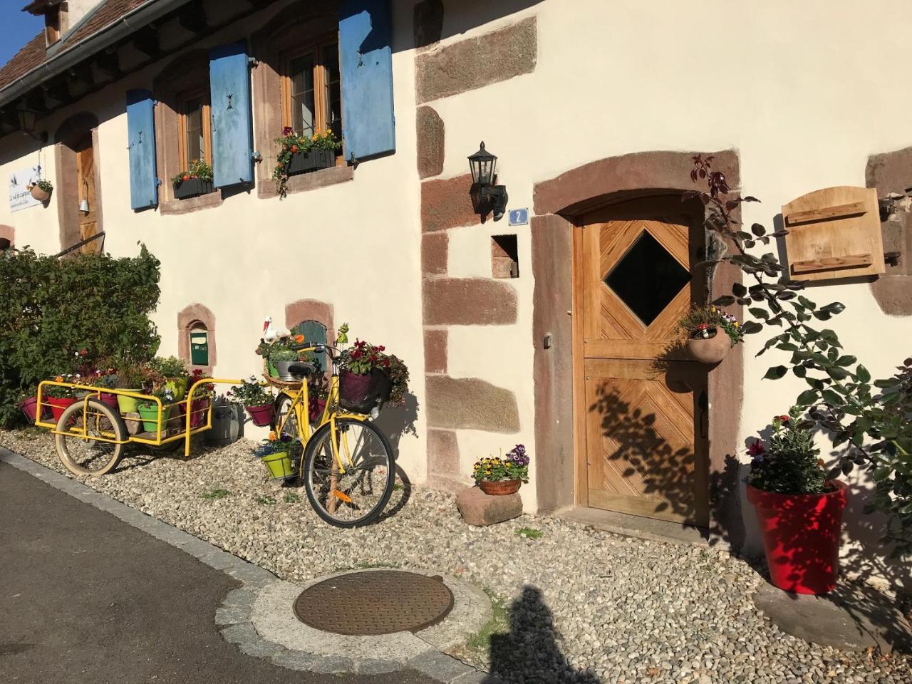 Hotel Le Nid De Cigognes Hengwiller Esterno foto