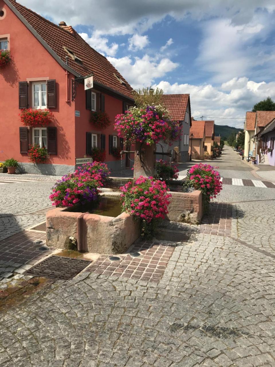 Hotel Le Nid De Cigognes Hengwiller Esterno foto