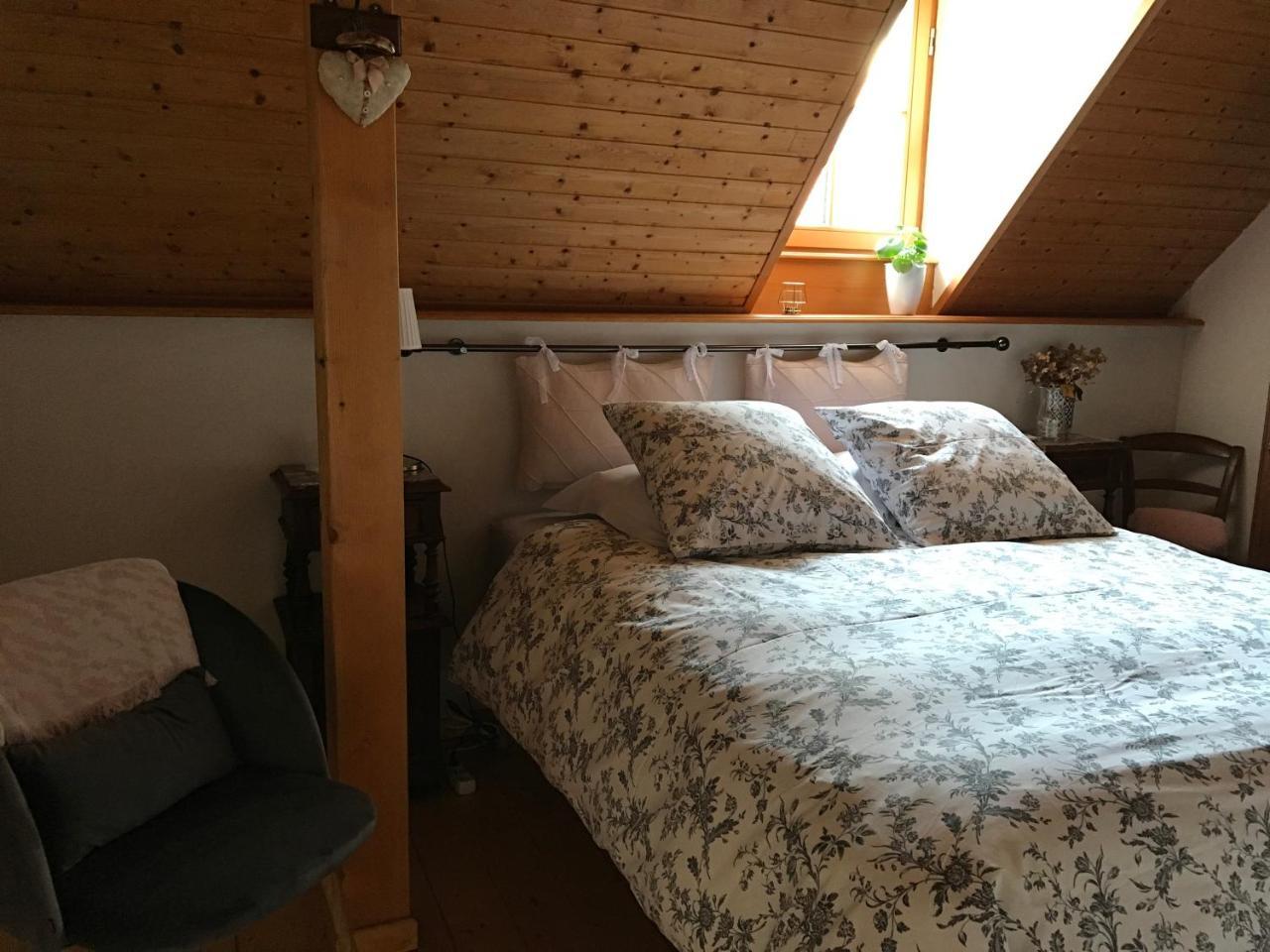 Hotel Le Nid De Cigognes Hengwiller Esterno foto